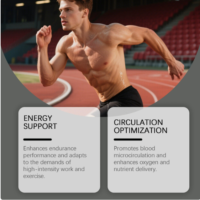 Men's Energy Supplements Coffee Powder
